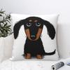 Funda de Cojín para Cachorro Teckel de Pelo Largo Cojines para Sofá Perro Salchicha Doxie Amante de Perros Fundas de Cojín Casuales