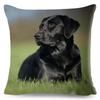 Cute Black Labrador Dog Double-Sided Printed Pillow Cover Short Plush Suitable Living Rooms Bedrooms Sofas Throw Cushion Cover