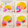Struttura del cervello del corpo umano Giocattoli Montessori Studio degli organi del busto Puzzle multistrato Giochi STEM Giocattoli educativi di apprendimento per bambini