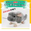 MIMIA Chinchilla Plush Toy A realistic pet - soft, fluffy, large, cute, chinchilla.
