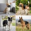 Waterproof Dog Muzzle Adjustable Dog Anti Bite Muzzle Safe Wearing Dog Bark Stopper  Daily Walking