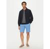 Tommy Hilfiger Harlem Shorts