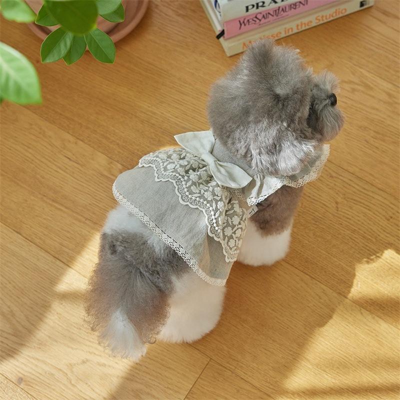 Vente chaude vêtements pour chien et chat printemps et été coton pur jupe en dentelle Malzis tenue pour petit chien