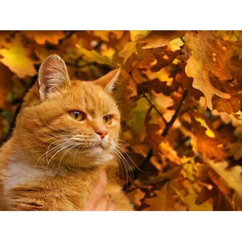 Full Round Autumn Scenery And Cat Diamond Embroidery 5D DIY Diamond Painting Mosaic Home Decoration Gift New
