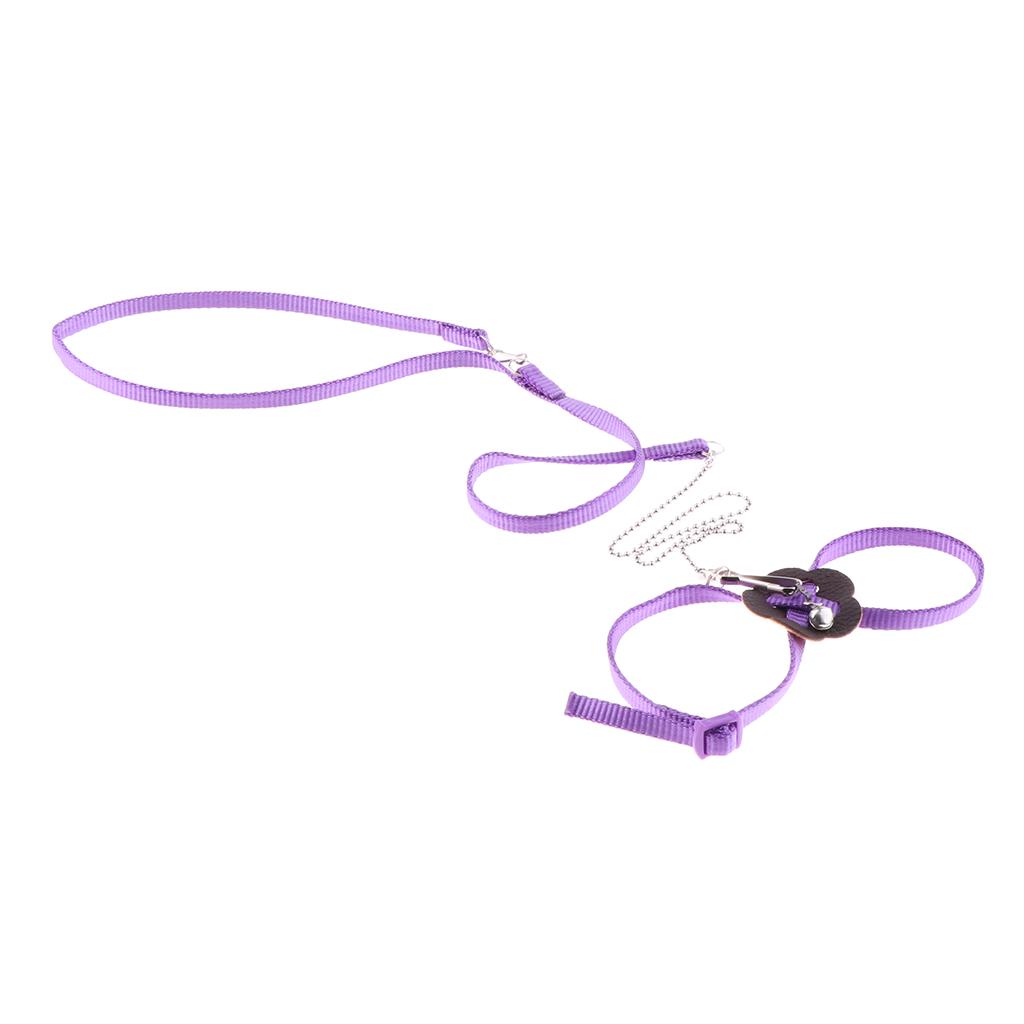 Buy Small Animals Adjustable Harness Walking Leash for Hamsters Rabbit