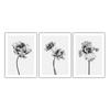 Wall Art Canvas Painting Bloom Peony Black White Flower Nordic Minimalist Posters And Prints Wall Pictures for Living Room Decor