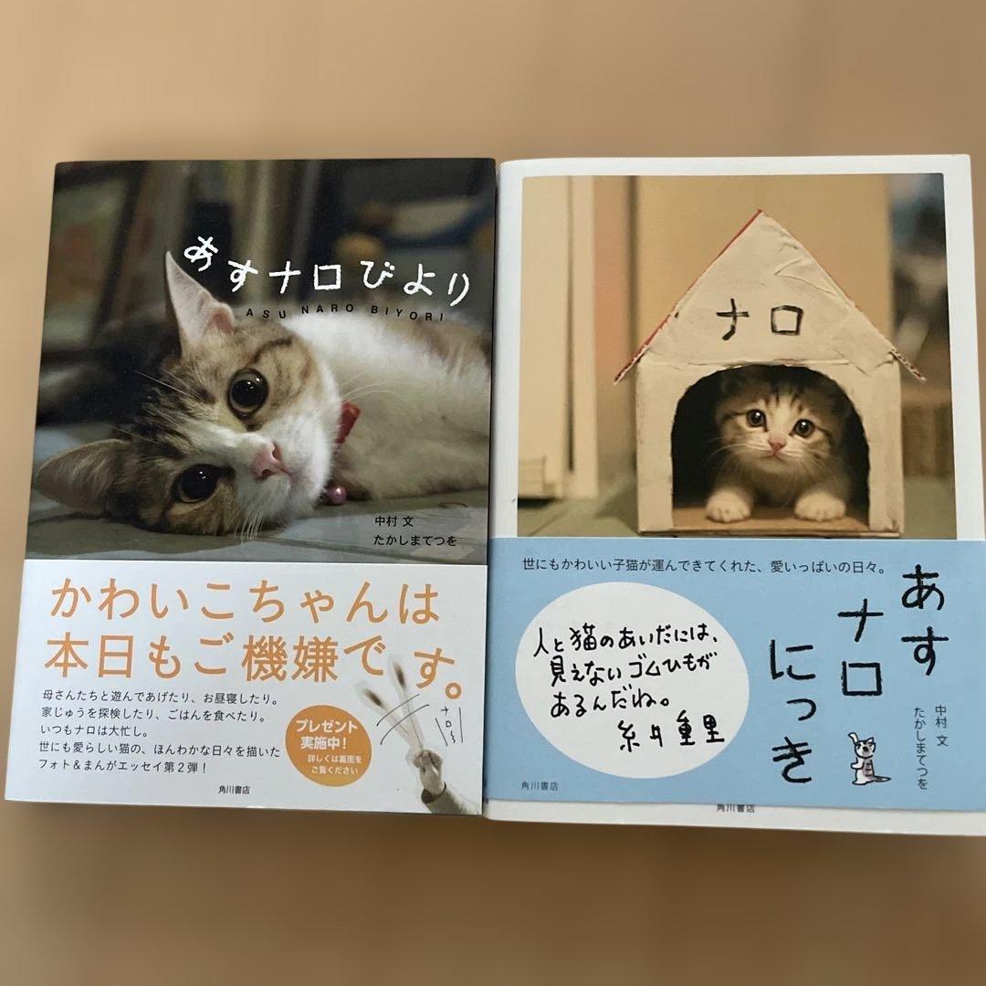 

[USED] Tomorrow s Day & Tomorrow s Day