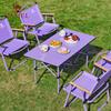 Cute Penguin Outdoor Folding Camping Table