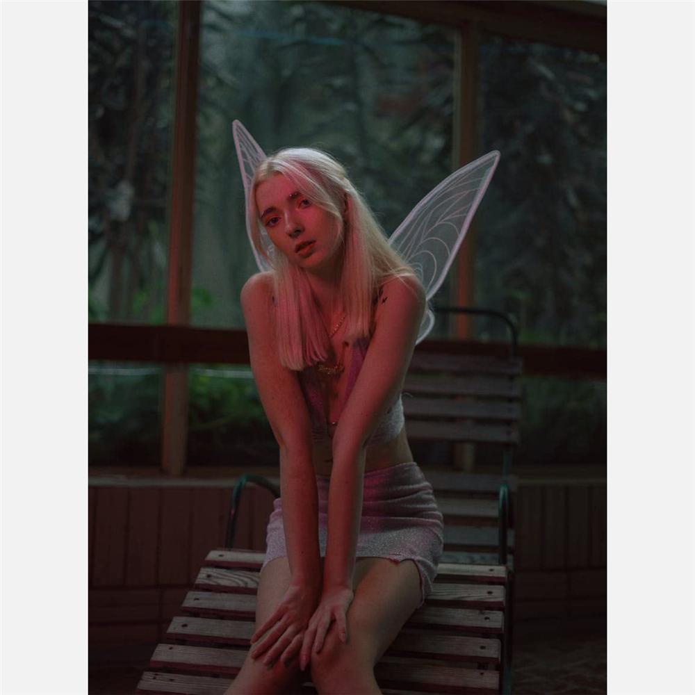 Sparkle Fairy Wings Halloween Costume Butterfly Wings with Flower Crown & Elf Ears  Party Favor
