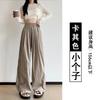 Multi-specification Ice Silk Wide-leg Pants Women's Summer New High Waist Drape Loose Thin Straight Walking Yamamoto Pants