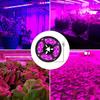 5V LED Plant Grow Light Full Spectrum Phyto Lamp 1m 2m 3m 4m 5m Strip For Seeds Flower Greenhouse Tent Hydroponic Plants Lighting