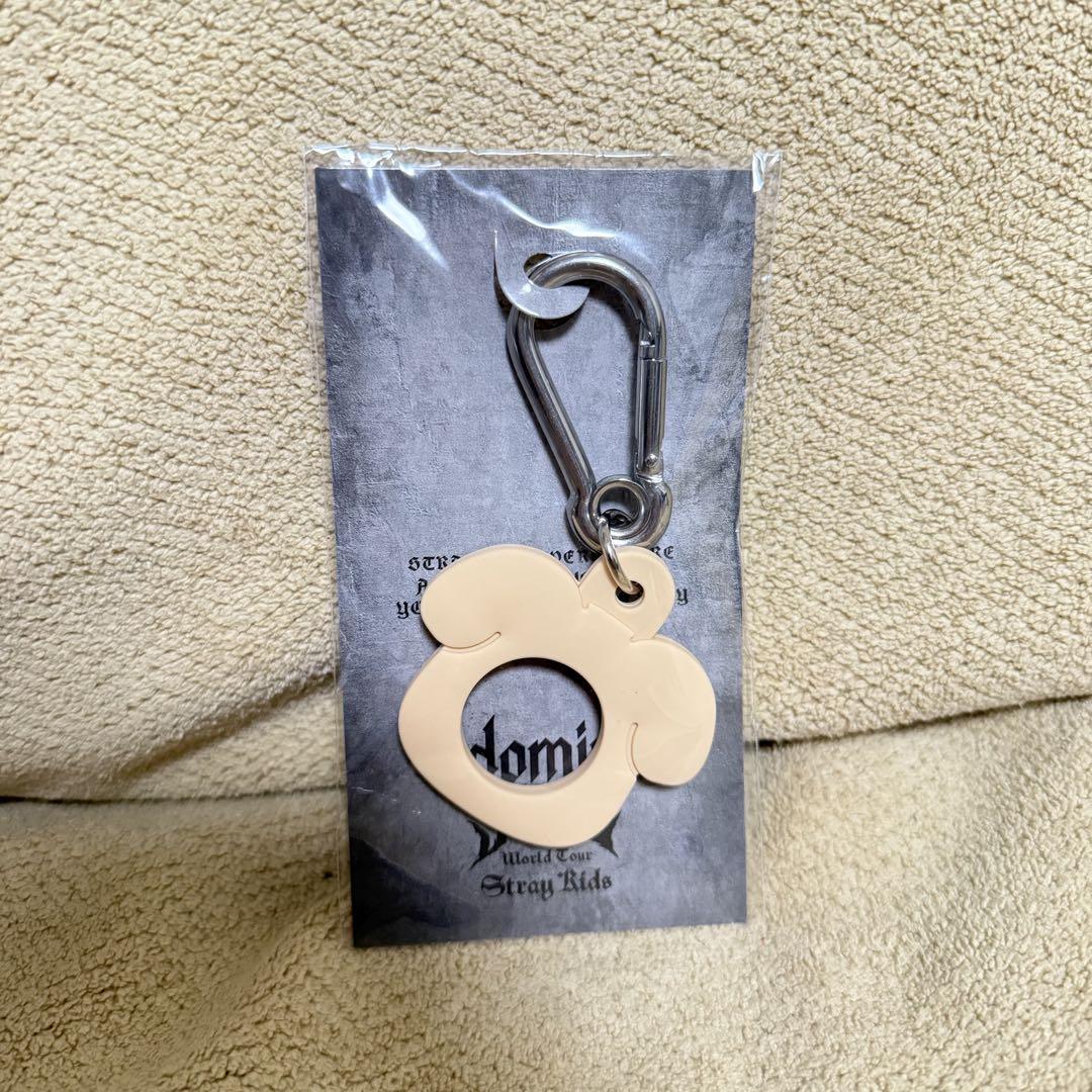 

[USED] Straykids Seungmin plastic bottle holder