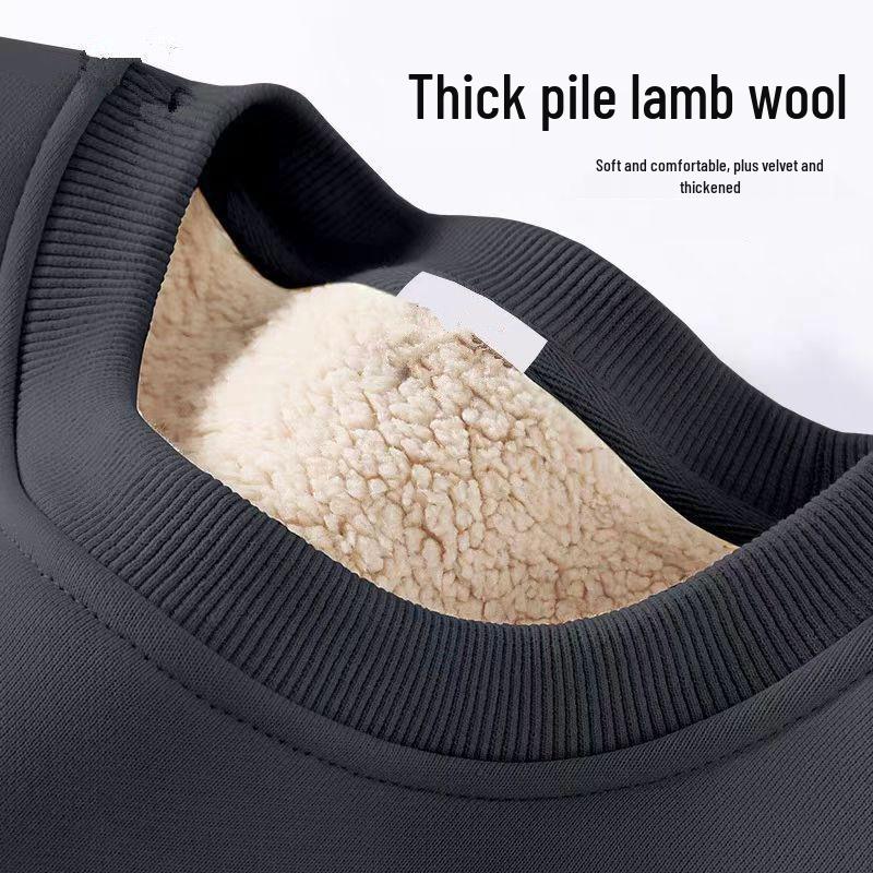 Men's 2024 Winter Thick Lambswool Hoodie - Round Neck, Solid Color, Long Sleeve, Velvet-Enhanced Warm Fleece.