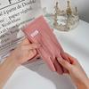 Gloves Women Autumn and Winter Fleece Thickened Warm Touch Screen