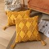 Tassel Cushion Cover 30x50cm /45x45cm Embroidered Throw Pillow Covers Home Decor Car Sofa Pillowcase For Living Room Beige Yellow
