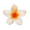 Independently Packaged Beach Vacation Egg Flower Claw Clip Hair Accessory Colorful Flower Hair Claw Plate Hair Ponytail Top Clip