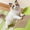 Tunnel Bed Mat Four Seasons Universal Scratching Board Pad House Summer Dog House Shelter House Semi-Closed