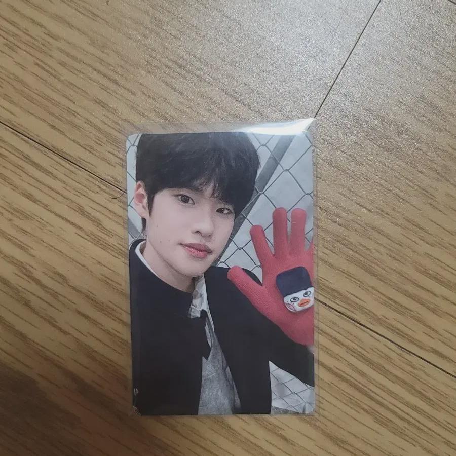 

RIIZE Фотокарточка перчатки Md