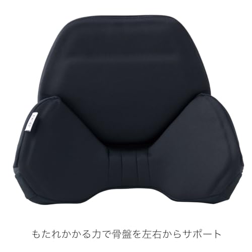EXGEL Hug Drive Car Cushion, Black, Gel Cushion, Car Cushion, Lumbar Support, Made In Japan, HUD01-BK