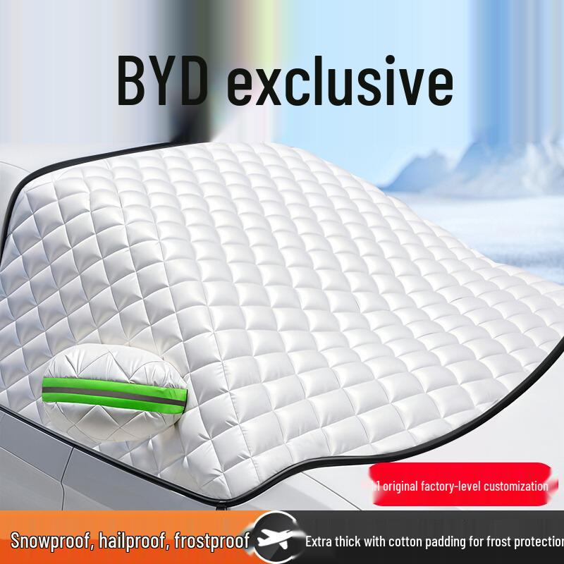 BYD Song Plus/DMI, Dolphin, Seagull, Han, Qin Kryt proti námraze a sněhu na přední sklo