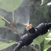 0.2/0.3/0.4/0.5mm Brass Spray Nozzle Atomizing Nozzle Kit for Cooling System 1/4" Tube Low Pressure Garden Yard Atomizing Nozzle