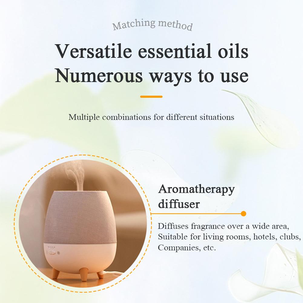 10ml Car Natural Plant Essential Oil for Car Air Freshener Diffuser Humidifier Refill Perfume Flavoring for Car Auto Accessories