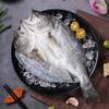 Frozen Gutted Bailiao Seabass