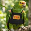 Fashion Pet Bird Training Harness Outfit with Traction Rope For Easy Wear Freely Movement Outdoor Exercise Walking Gear