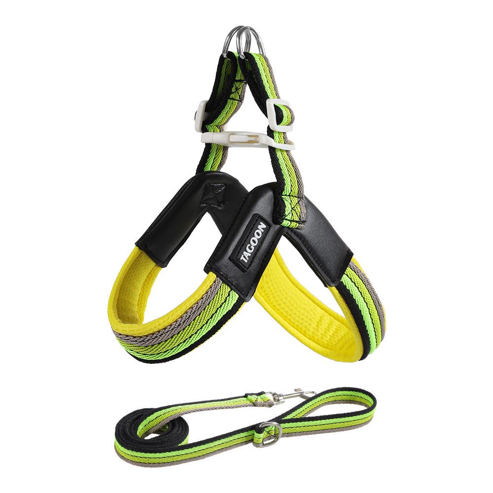 Breathable Color Block Harness & Leash for Small/Medium Dogs - Teddy, Shiba Inu