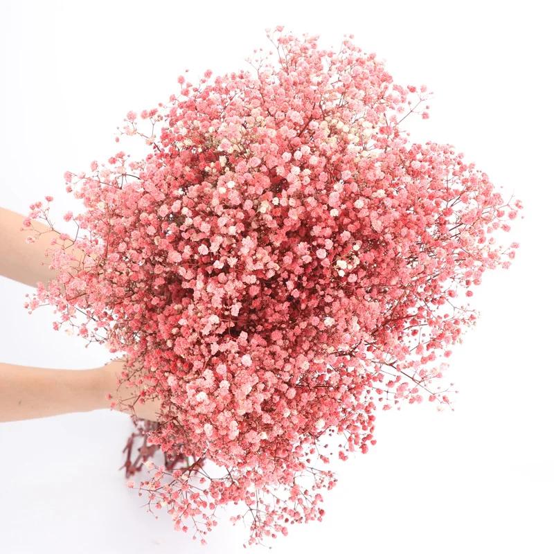Dried Flowers Babys Breath Bouquet Ivory White Flowers Natural Gypsophila Branches for Home Decor Wedding Flowers Bulk for Vase