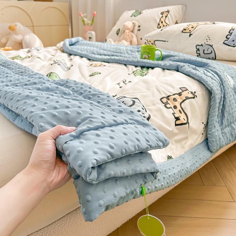 

Zuoyouzhuo Class A Minky Dot All-Season Quilt for Kids & Students, 200x230cm