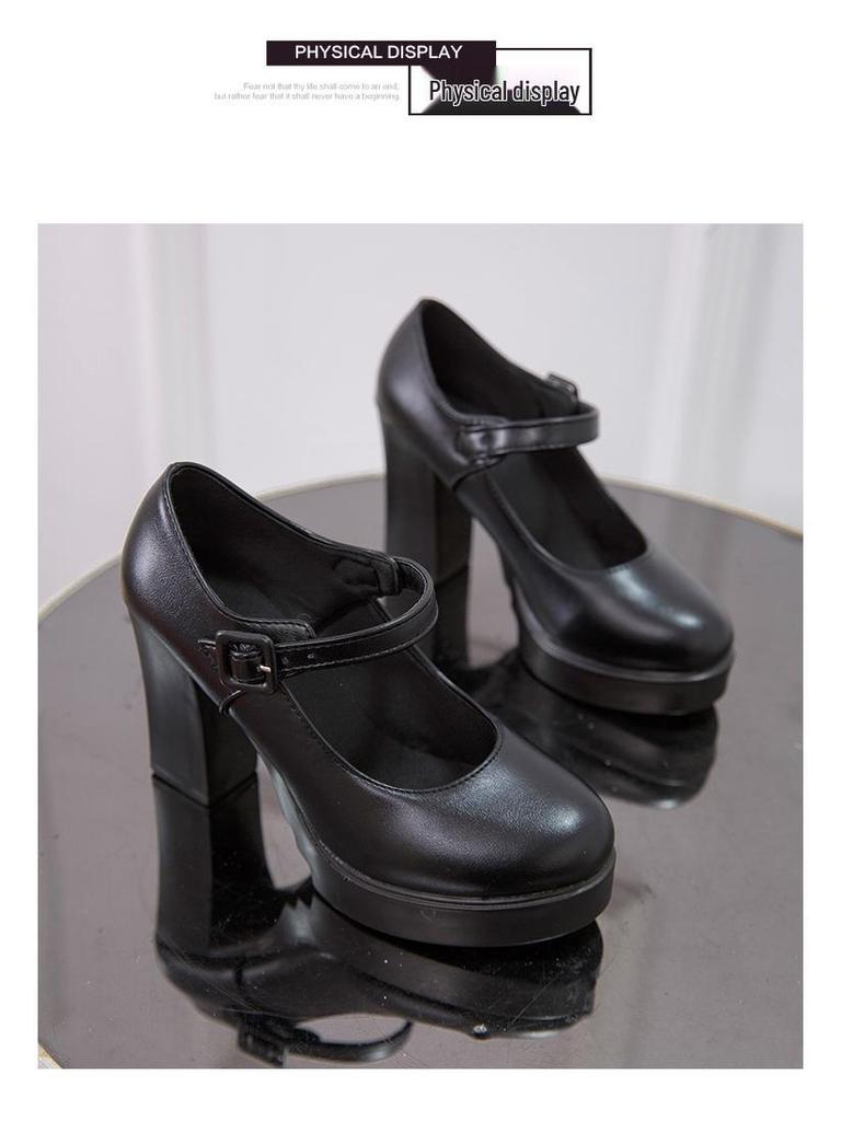 Spring & Autumn Round Toe Platform Chunky Heel Non-Slip Women's Shoes