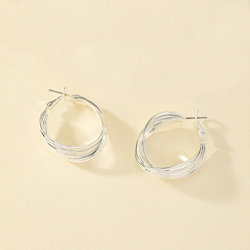 

Европейские и американские геометрические серьги-круги: Трендовые серьги-кольца с уникальным нишевым дизайном и в стиле знаменитостей.