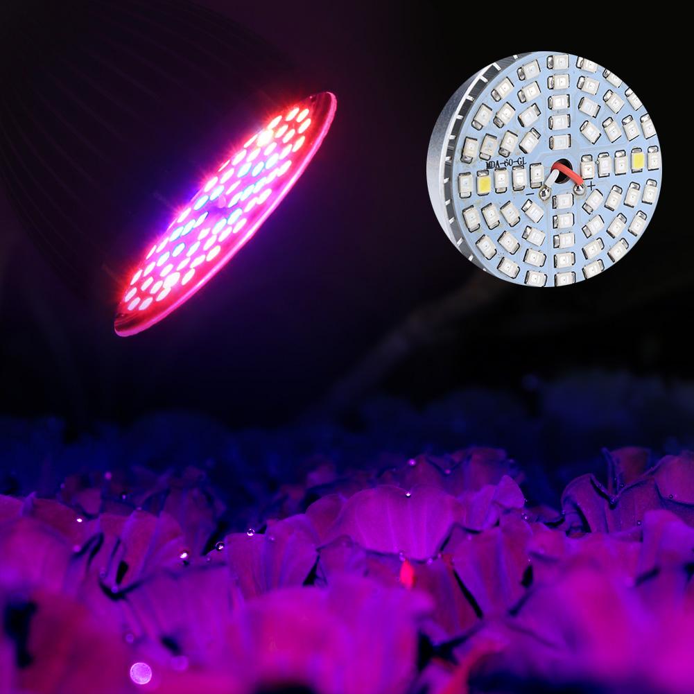 60W 60LED žárovka s plným spektrem pro pěstování rostlin pro hydroponické pěstování rostlin