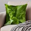 Healthy Fresh Food Anime Style Art Cushion Cover Pillowcase Antidustmite Invisible Zipper Short Plush Sofa Cushion