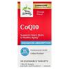 Terry Naturally CoQ10 Orange 100mg Chewable, 30 Tablets