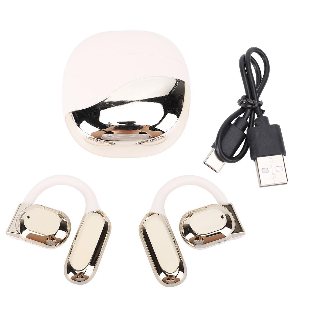 Translation Earbuds Earhook Active Noise Reduction Wireless Bluetooth AI Language Translator Earbuds