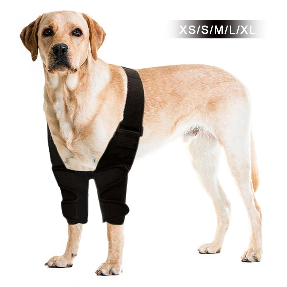 Tutore Protettore Completo per Gomito del Cane per Legamenti Strappati per Tutte le Razze Canine per Gomito e Spalla del Cane Gomito Igroma Tutore per Zampe Anteriori