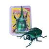 Realistic Beetle Insect Model Toy Crawling Bug Replica Educational Collectible for Kids and Adults Durable Plastic Construction