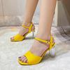 High Heel Women's Transparent Buckle Sandals