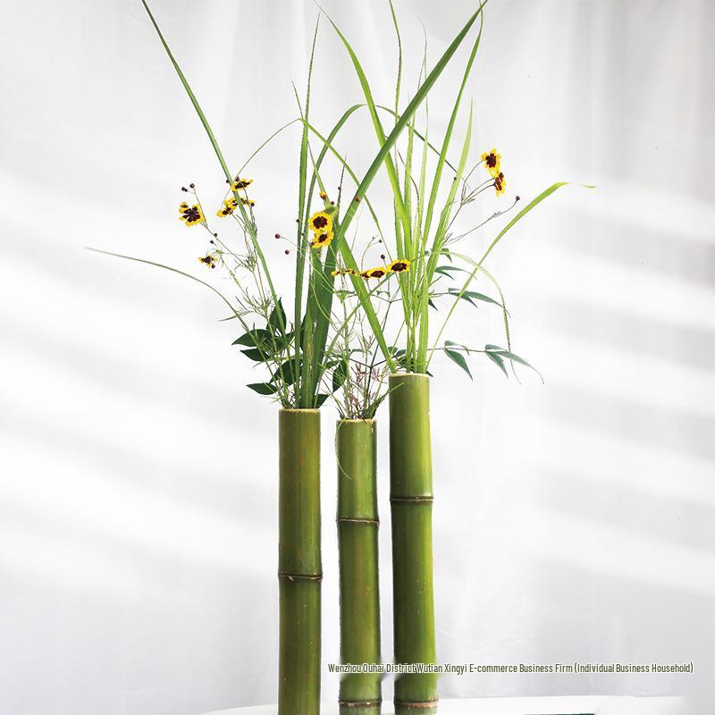 Grne Bambus-Blumenvase: Umweltfreundliche Bambusrhre fr Hochzeiten,  Kindergrten und Dekorationen. gnstig kaufen  Preis, kostenloser Versand,  echte Bewertungen mit Fotos  Joom