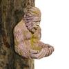 Outdoor Decorative Feeder Garden Decoration Yard Art Statue Resin Birdfeeder Gift for Wildlife and Nature Lovers