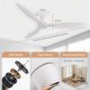 IRALAN Modern Ceiling Fan Without Lights DC Motor 6 Speeds Timing Fans 20CM Low Floor Loft Remote Control Lux&vitae Fan