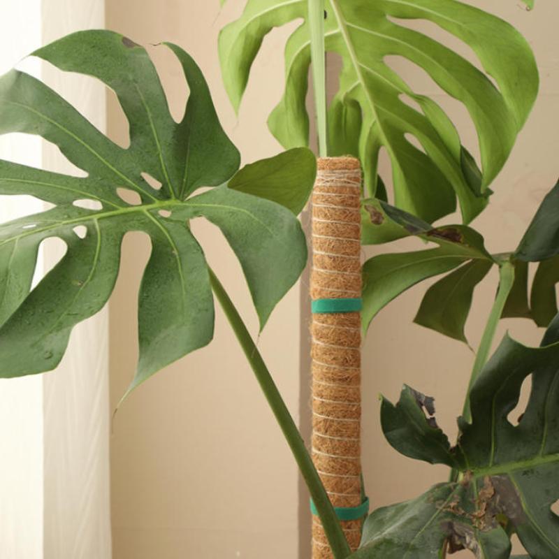 1Pcs Plant Climbing Traction Rod Fixed Bracket for Vines Creative Support Holder for Indoor Balcony Wall Greening
