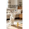 Electric Rotating Butterfly Cat Teaser Toy Suction Cup Base Automatic Interactive Self‑Play Toy for Indoor Cats Exercise