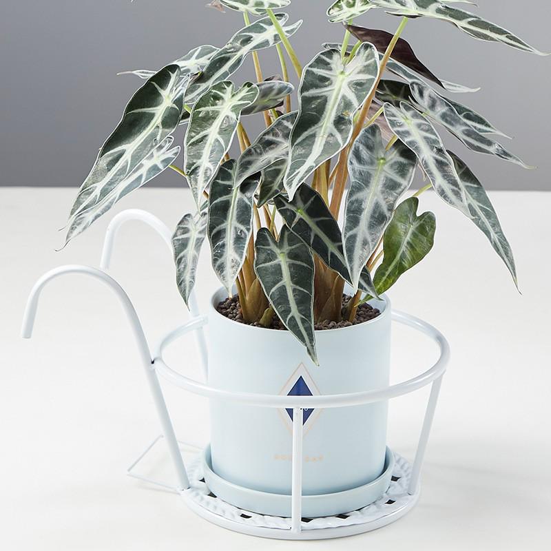 Wheeled Wrought Iron Multi-tier Plant Stand for Indoor/Outdoor Balcony Use