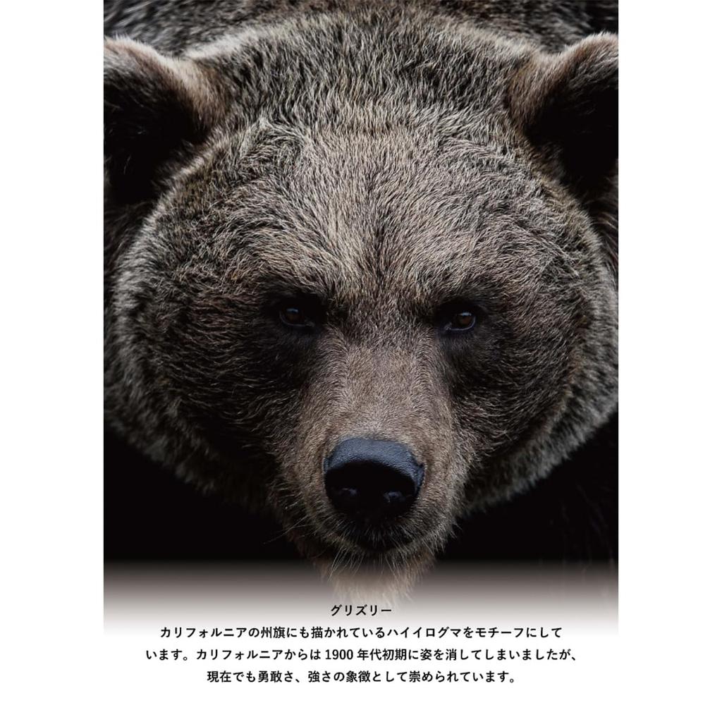 Camelbak Perfect Fit Podium Cage V2 Grizzly (Matte Gray)