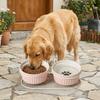 Non-Slip Elevated Cat Double Bowls Prevent Tipping Cat Water Bowls Ceramic Cat Bowls  Dog Feeder