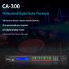 Veishu CA-300 2-In 4-Out Digital Audio Processor (CN version)