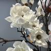 Real Touch Artificial Magnolia Branch Realistic Fake Flower  Home Living Room Decor